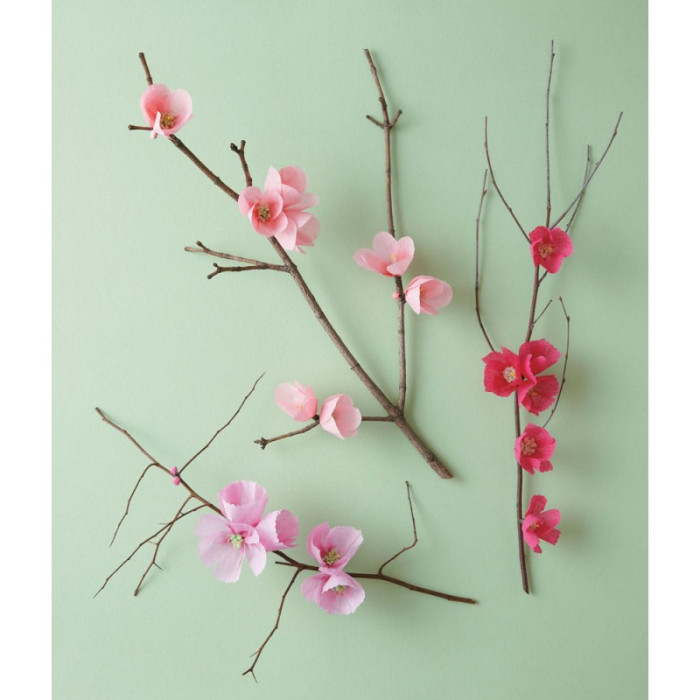 Paper flowers - Livia CETTI - Editions de Saxe