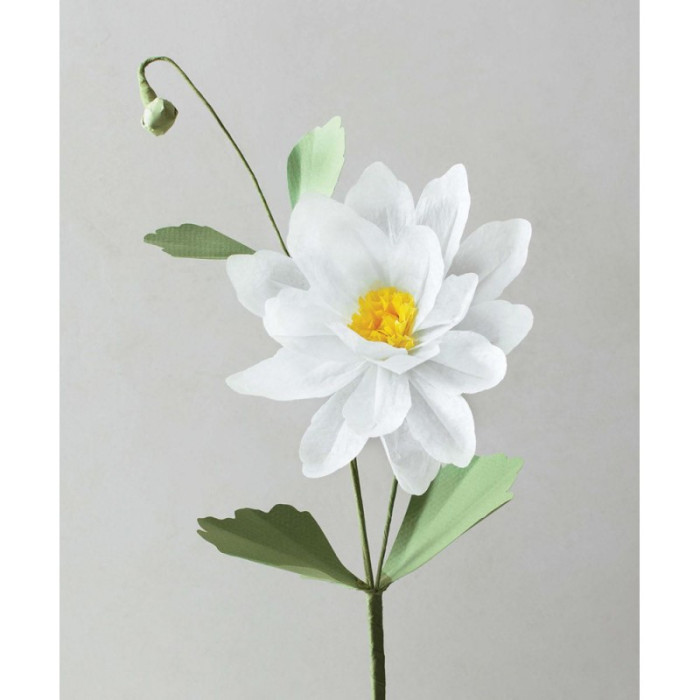 Papieren bloemen - Livia CETTI - Editions de Saxe