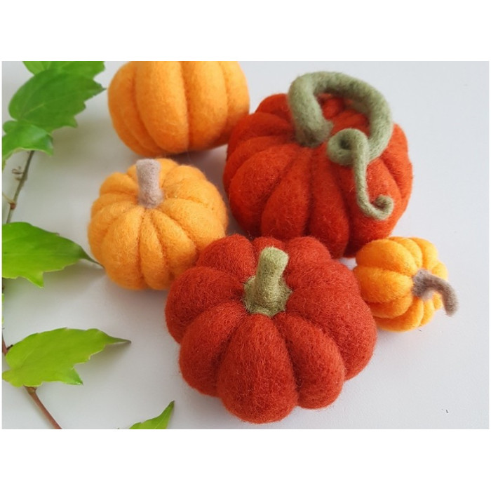 Ô Merveille felted pumpkin kit in carded wool