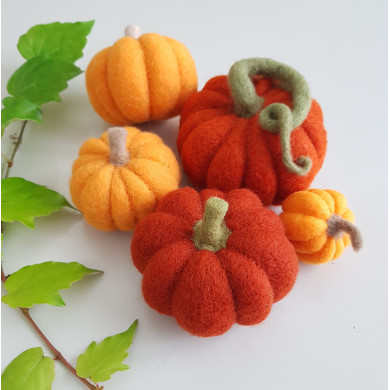 Workshop Vilten pompoen + eiken eikels - Vrijdag 4 oktober - 14.00 uur