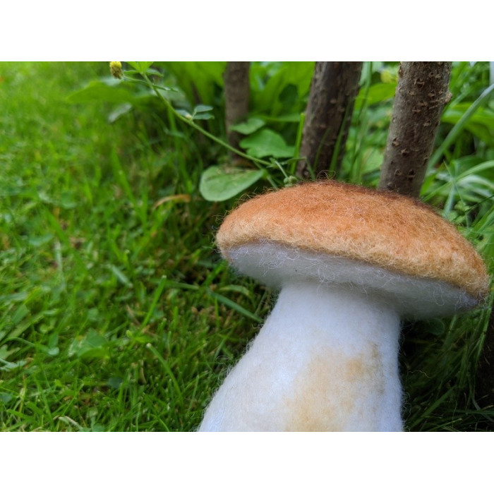 Atelier champignons feutrés - jeudi 25 septembre - 14h