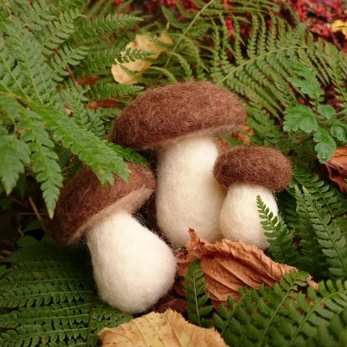 Atelier champignons feutrés - jeudi 25 septembre - 14h