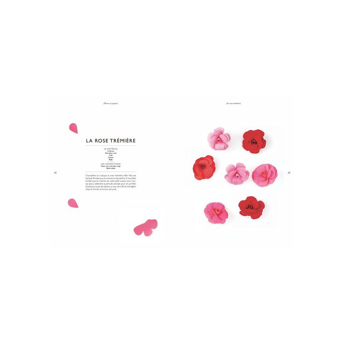 Livre Atelier de fleurs en papier Marabout