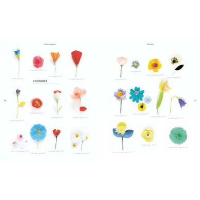 Livre Atelier de fleurs en papier Marabout