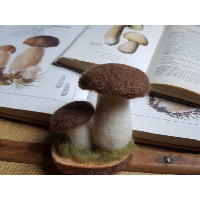 Felted boletus mushroom kit